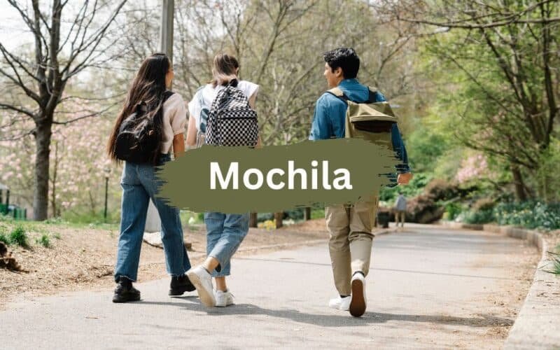 Mochila: A Comprehensive Guide to Backpacks