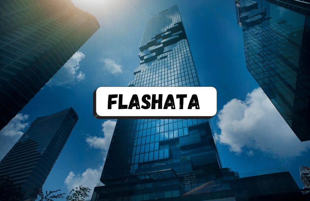 Flashata: An Ultimate Guide to Business Growth