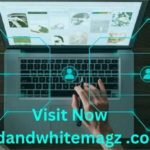 Redandwhitemagz .com: Your Ultimate Source for Trendy Insights