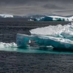 Drifting Sheets of Ice NYT: The Arctic's Enchanting Icy Wonders