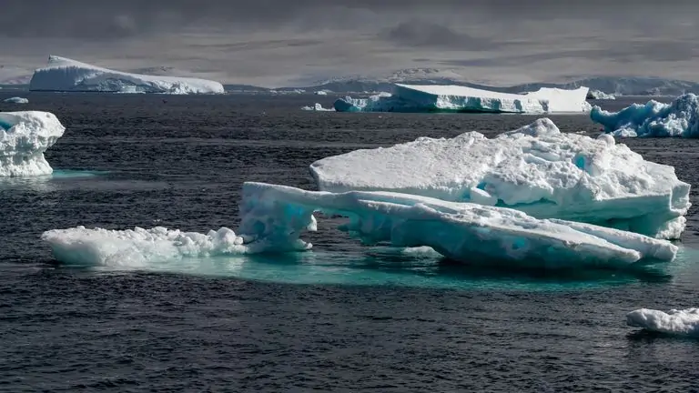 Drifting Sheets of Ice NYT: The Arctic's Enchanting Icy Wonders