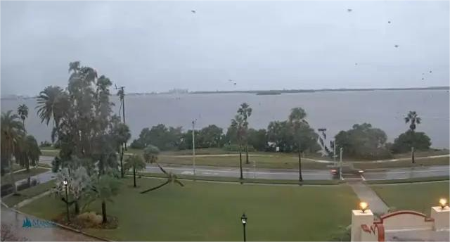 Tampa Bay Webcam - Live Streaming Views of the Bay